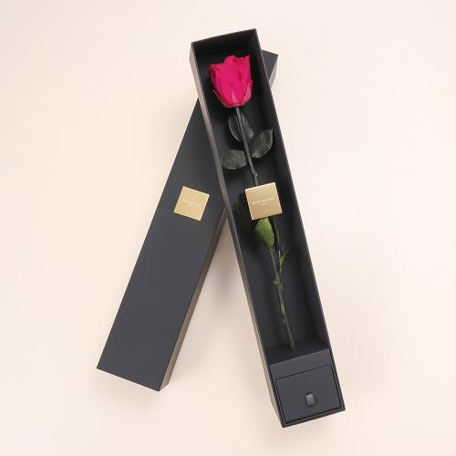 ザ・ワン　スペシャルエディション　ホットピンク