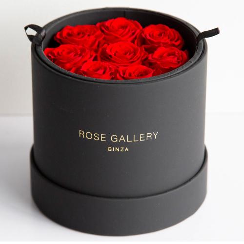 アンダーザローズ（S-N8） ブライトレッド