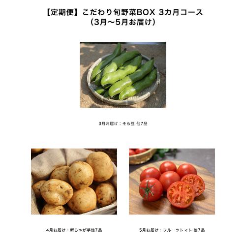 【定期便】こだわり旬野菜BOX 3カ月コース（3月～5月お届け）