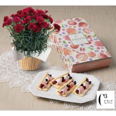 【母の日】生花　モリヒロカーネーション「カシスムース」＆＜シーキューブ＞ベリーウィッチ5個入