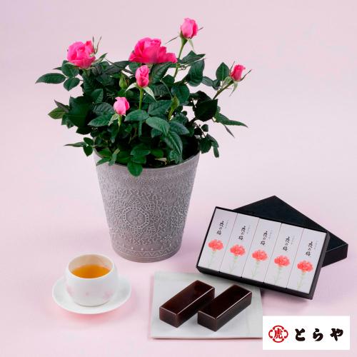 【母の日】生花　セントラルローズ「ミニバラピンク」＆＜とらや＞母の日パッケージ小形羊羹5本入