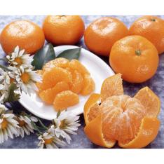 【父の日】ハウスみかん1kg