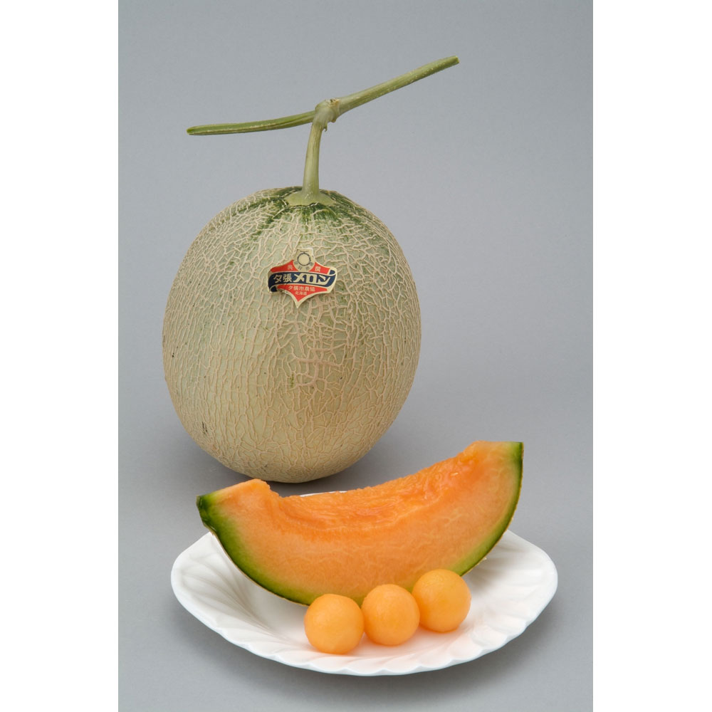 【父の日】北海道夕張メロン 1.3kg×1玉 良L