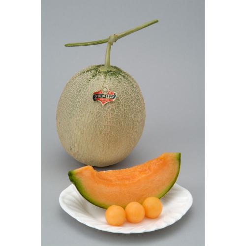 【父の日】北海道夕張メロン 1.3kg×1玉 良L