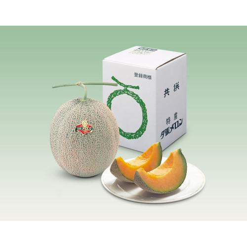 【父の日】北海道夕張メロン1.6kg×1玉 優2L