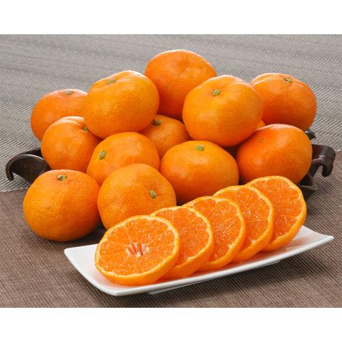 【父の日】高知県産 山北温室みかん（2.4kg）