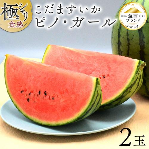 【父の日】茨城県産小玉すいかピノガール 2玉