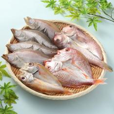 【父の日】「一日漁」恵比寿(父の日掛け紙付)