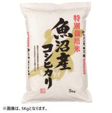 新潟県 魚沼産コシヒカリ