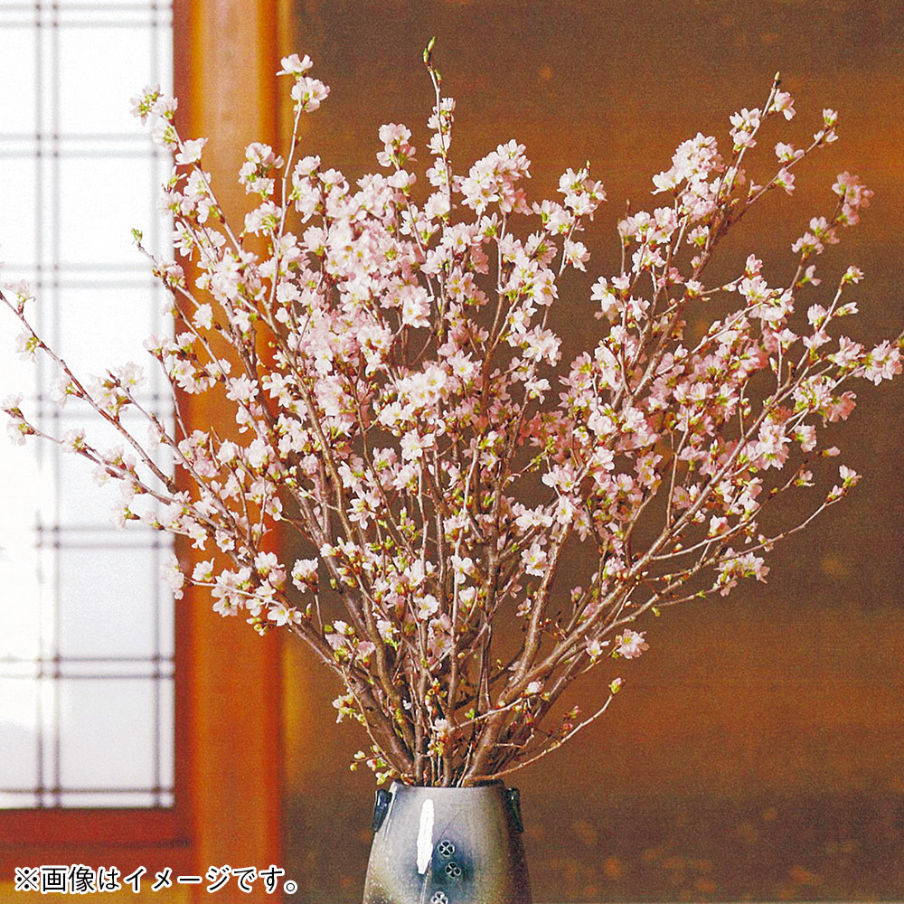 値下げ交渉あり。超美品！桜の花 金箔 油彩画 （journal・不連続