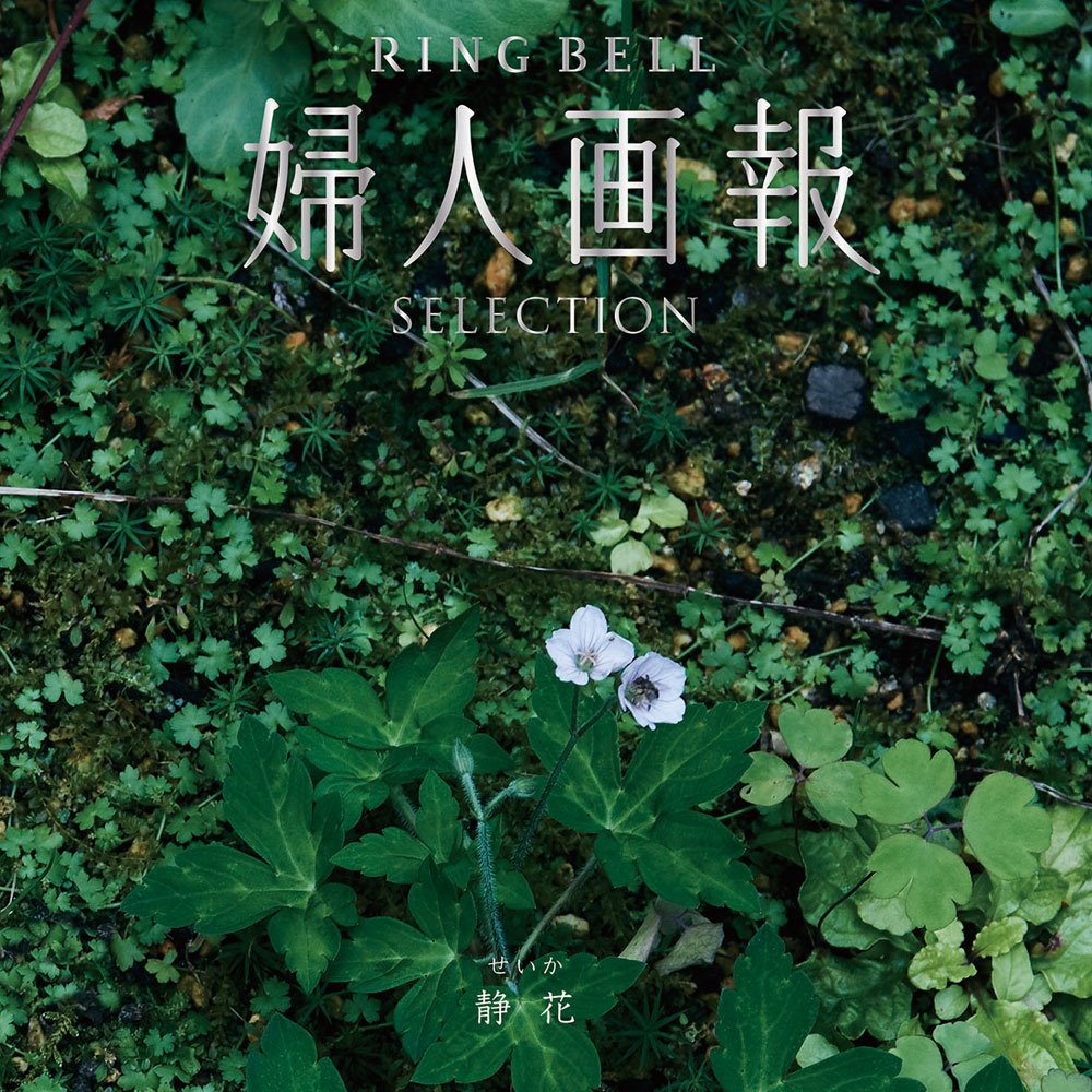 婦人画報 リンベル 静花（せいか）