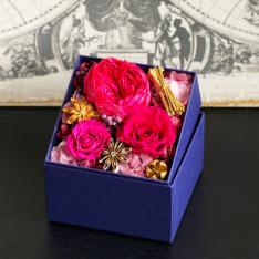 Wispers of the season BOX