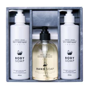 ハンドソープセット ラッピング済み】ハンドソープ ＆ ボディウォッシュ(ギフト