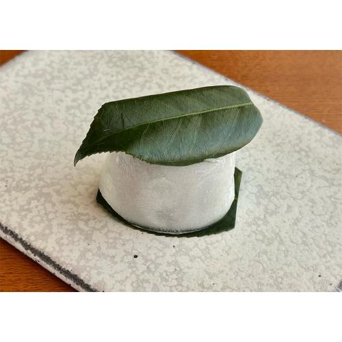 【店頭受取／新宿店】＜芳光＞季節の生菓子4個入り【11月29日（土）午後4時30分以降】