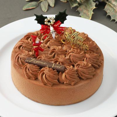 【クリスマス】ノエルアプソリュ 16cm