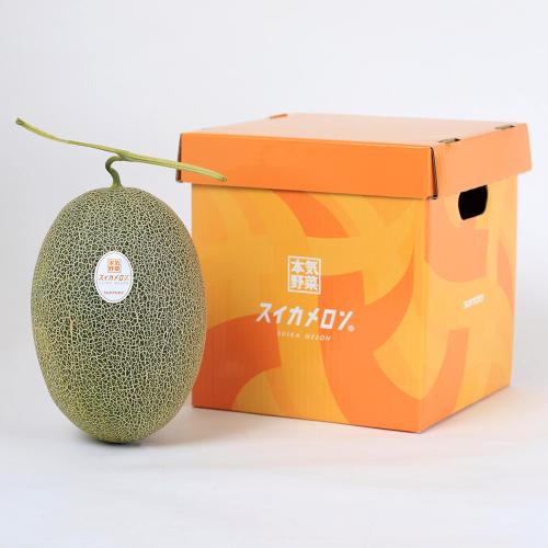 【最適な時期に収穫し、順次発送予定】＜サントリー本気野菜＞北海道産スイカメロン