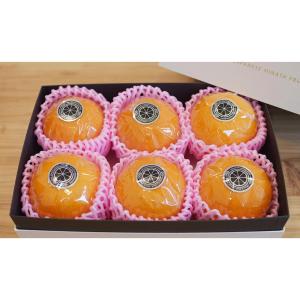 宮崎完熟マンゴーシャーベット3個＆メロンジェラート3個セット