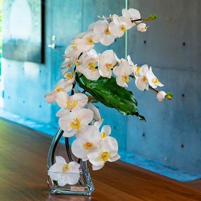 エミリオロバ アートフラワー ファレノプシス（胡蝶蘭） エミリオ
