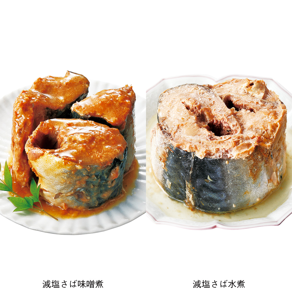 煮 味噌 塩 サバ
