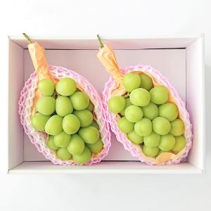 サンフレッシュ | フード・スイーツ | 高島屋オンラインストア