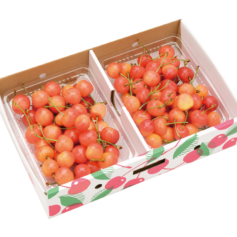 ◆佐藤錦 約600g