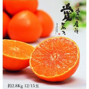 みかん お歳暮 ギフト 2025 愛媛みかん SまたはSSサイズ 計約2.8kg 御歳暮 冬