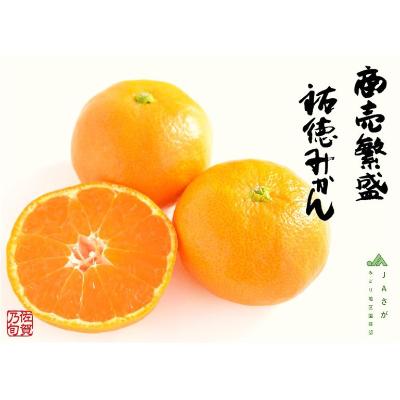 【最適な時期に収穫し、順次発送予定】＜JAさが＞商売繁盛 糖度13度祐徳みかん