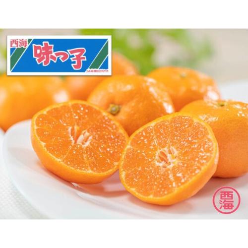 【最適な時期に収穫し、順次発送予定】<JAながさき西海>糖度13度 味っこみかん