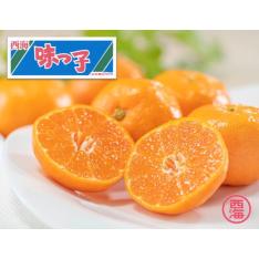 【最適な時期に収穫し、順次発送予定】<JAながさき西海>糖度13度 味っこみかん