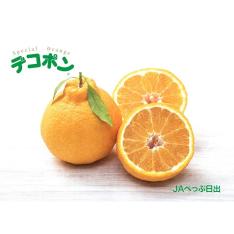 【最適な時期に収穫し、順次発送予定】<JAべっぷ日出>採れたて葉付きデコポン