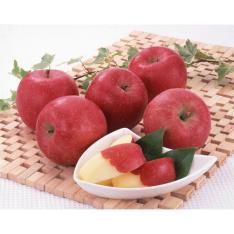 【最適な時期に収穫し、順次発送予定】岩手県産サンふじ