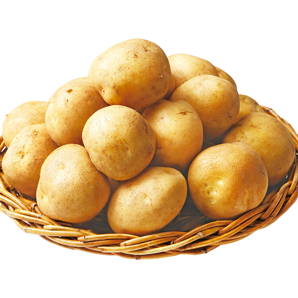 鹿児島県 徳之島産 じゃがいも 春一番