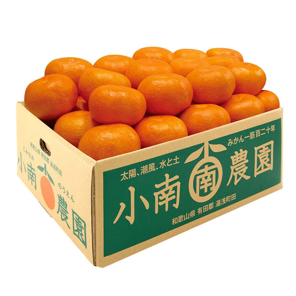 有田みかん