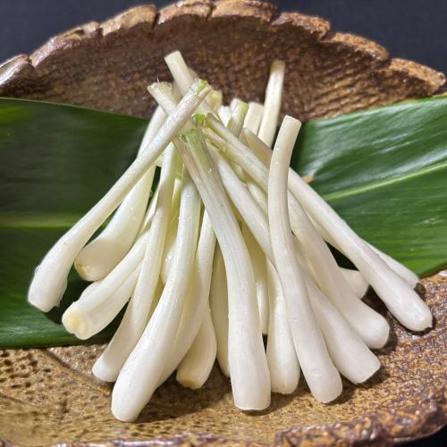 島らっきょう塩漬け