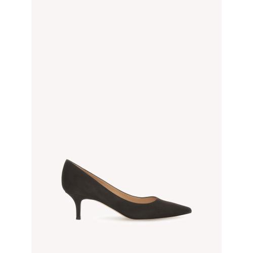 GIANVITO 55