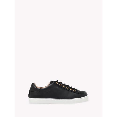 LOW TOP