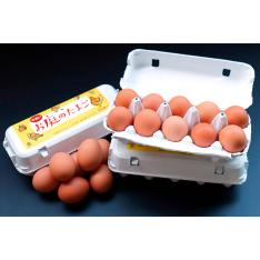 平飼い赤鶏お庭のたまご詰合せ