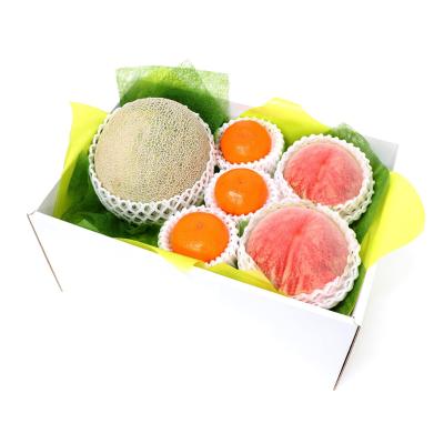 専用❤みかん♥もっちりニット☆ひんやり冷感タオル♥もじゃ。メロン