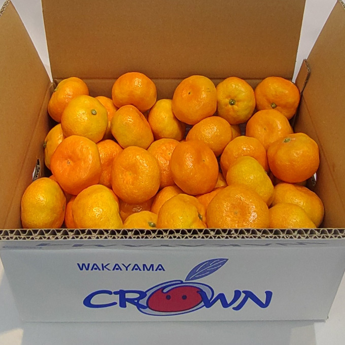 和歌山県産　下津クラウンみかん