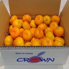 和歌山県産　下津クラウンみかん