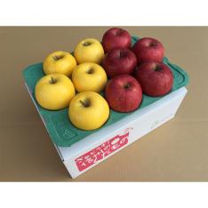 福袋 長野県産サンふじ・シナノゴールド(2.8kg) 福箱
