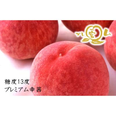 ＜JAふえふき一宮＞糖度13度プレミアム幸茜