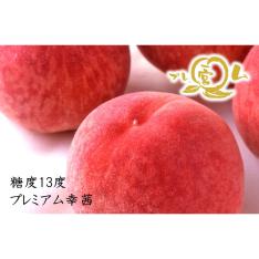 ＜JAふえふき一宮＞糖度13度プレミアム幸茜