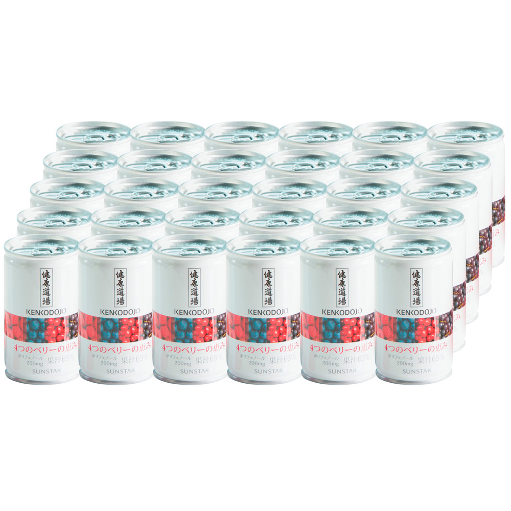 サンスター 健康道場 4つのベリーの恵み30本