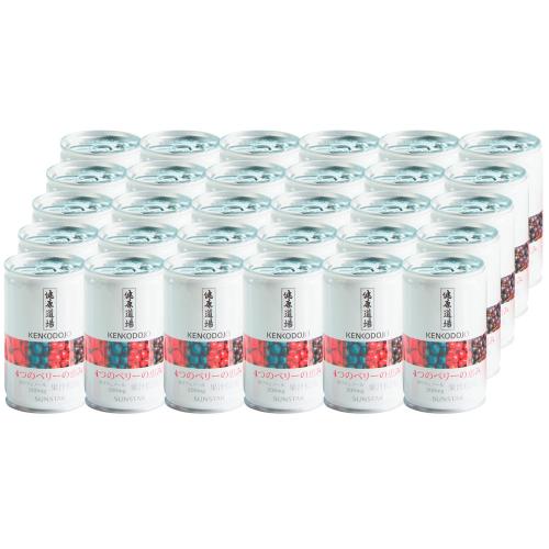 サンスター 健康道場 4つのベリーの恵み30本