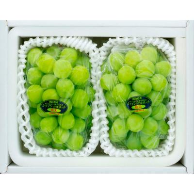 岡山県産シャインマスカット 「晴王」 2房セット