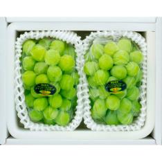 岡山県産シャインマスカット 「晴王」 2房セット