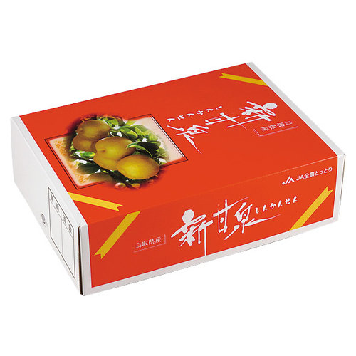 JA鳥取西部 大山梨選果場 「新甘泉（しんかんせん）」（約2kg/3〜4Lサイズ5〜6玉）