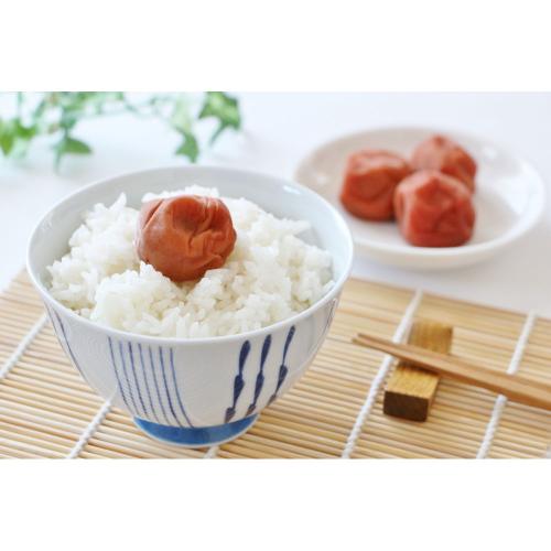 【敬老の日】〈細川家〉紀州みなべ「村の梅」一粒梅詰合せ（敬老の日掛け紙付）