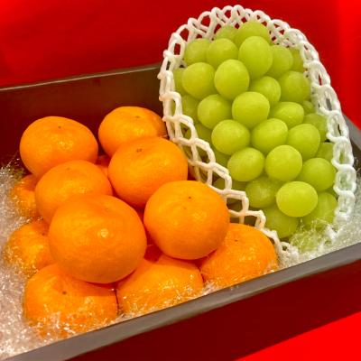 ぶどう | 旬を愉しむ！ご予約サービス フルーツだより | 特集